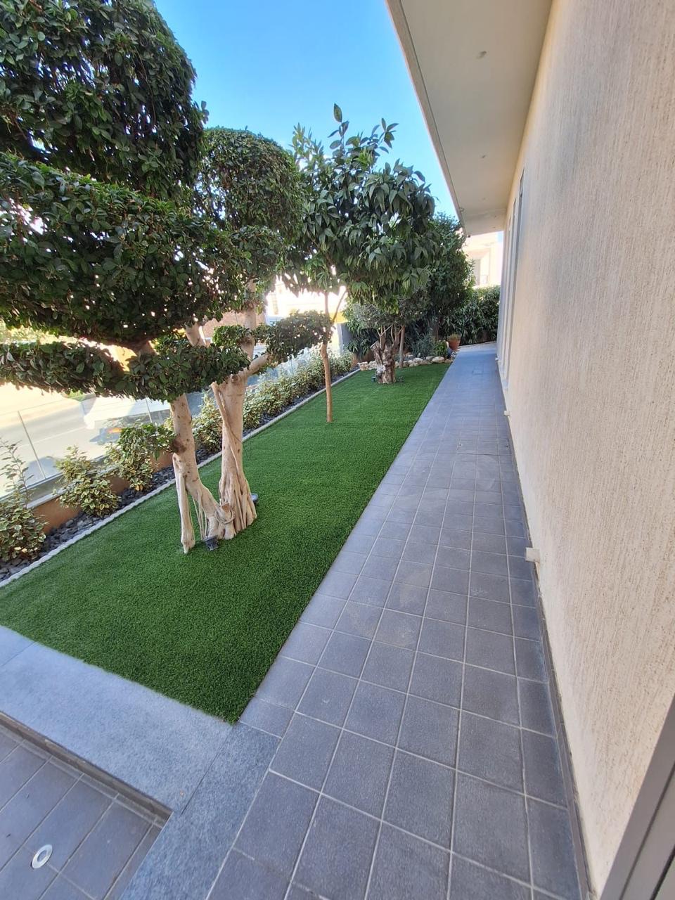 Julian Andrew Paphos Cyprus Landscaping - landscaper work in Paphos, photo 2