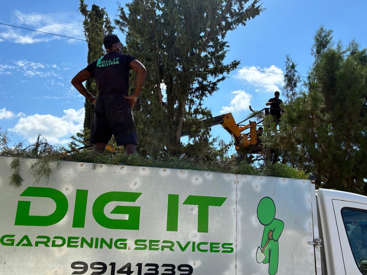 Dig it Gardening Services Ltd - property services work in Paphos, photo 2