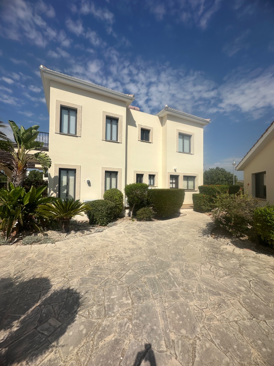 Prodec Painting & Maintenance Contractors - decorator work in Limassol, photo 3