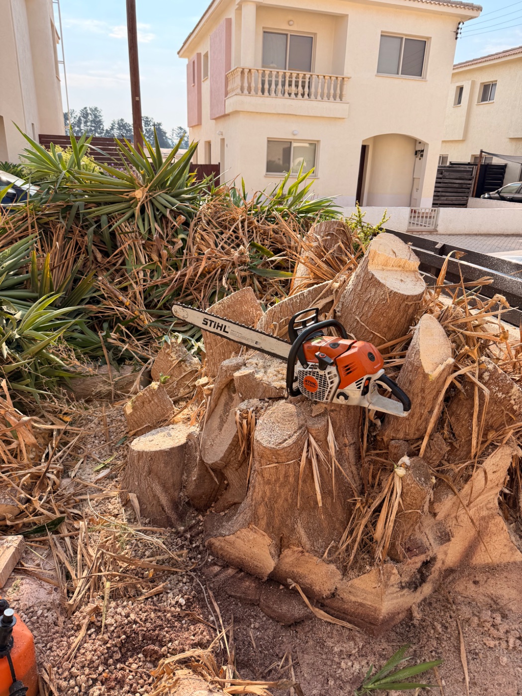 Dig it Gardening Services Ltd - property services work in Paphos, photo 5